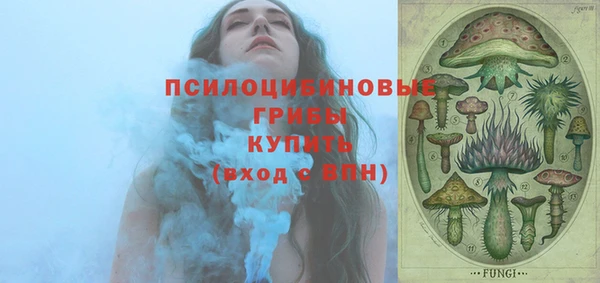 индика Алексеевка